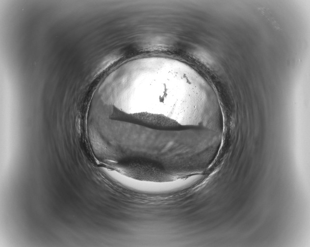 X0000084531209200703161601