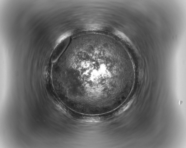 X0000084531210200703161601