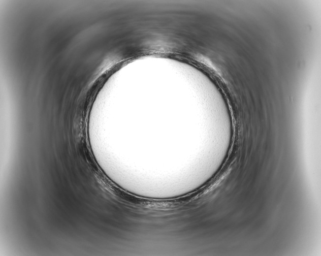 X0000084531211200703161601