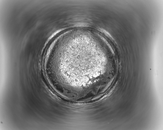 X0000084531212200703161601