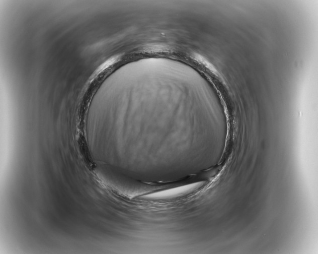 X0000084531213200703161601