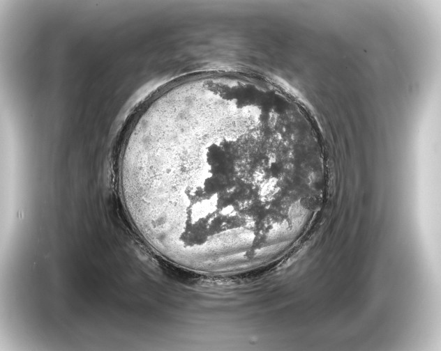 X0000084531215200703161601