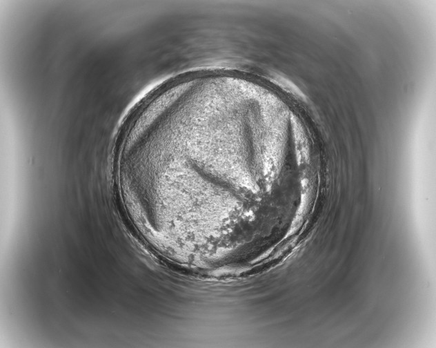 X0000084531216200703161601