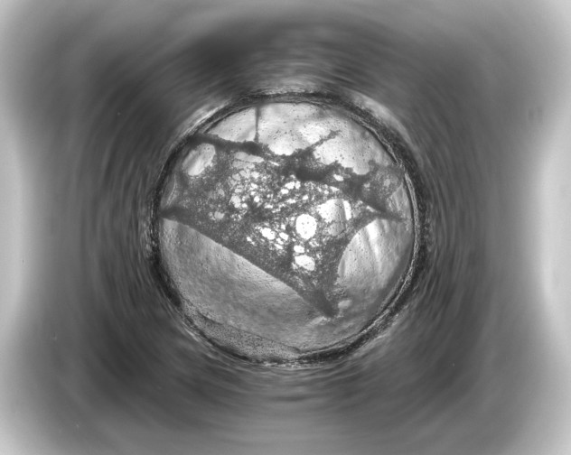 X0000084531217200703161601