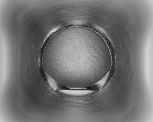 X0000084531218200703161601