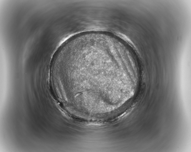 X0000084531220200703161601