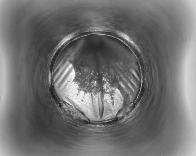 X0000084531221200703161601