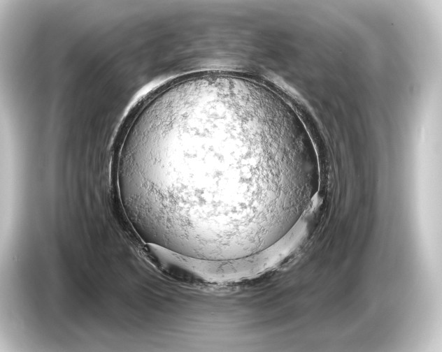 X0000084531222200703161601