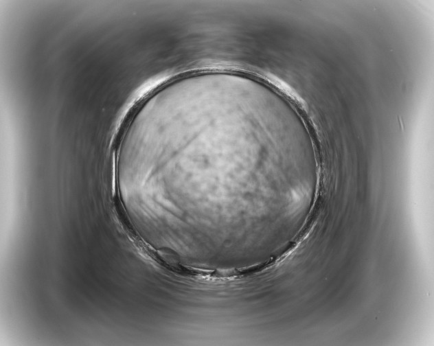 X0000084531223200703161601