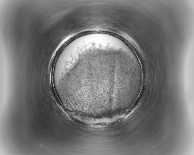 X0000084531224200703161601