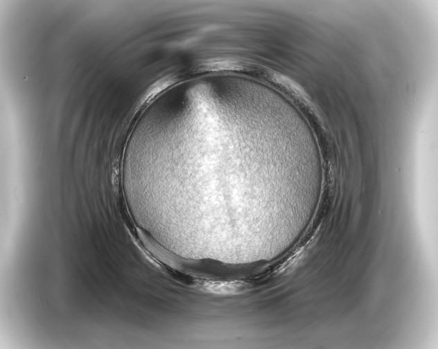 X0000084531225200703161601