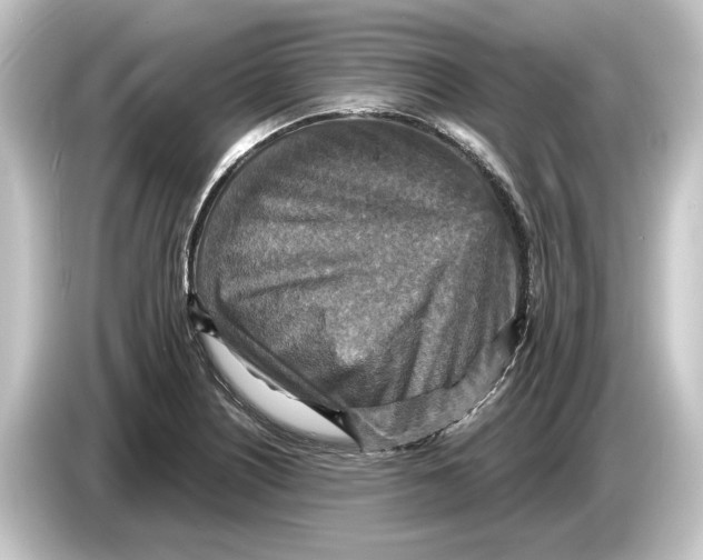 X0000084531226200703161601