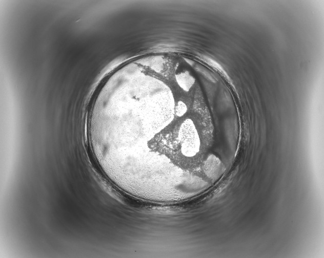 X0000084531227200703161601