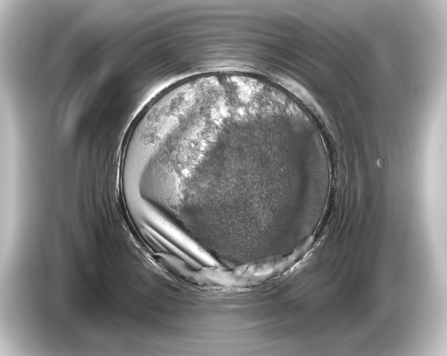 X0000084531228200703161601