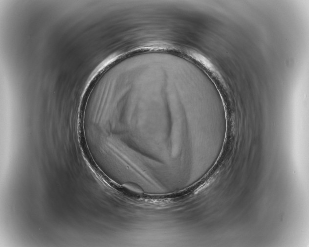 X0000084531229200703161601