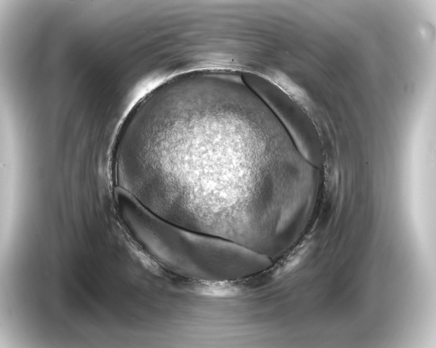 X0000084531230200703161601