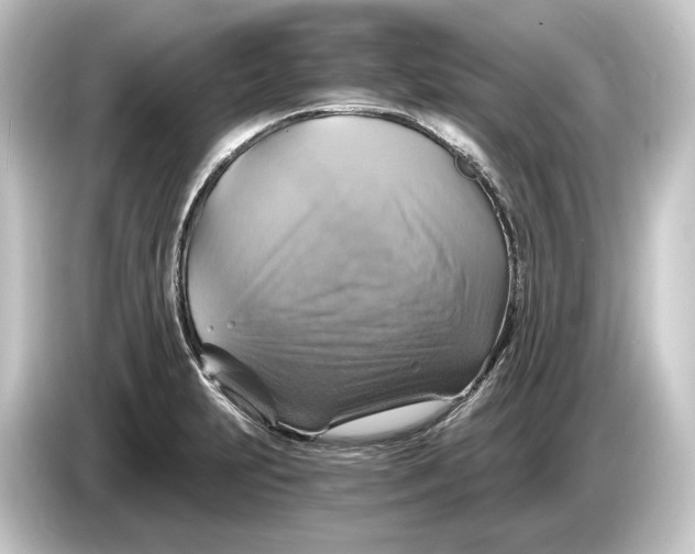 X0000084531231200703161601