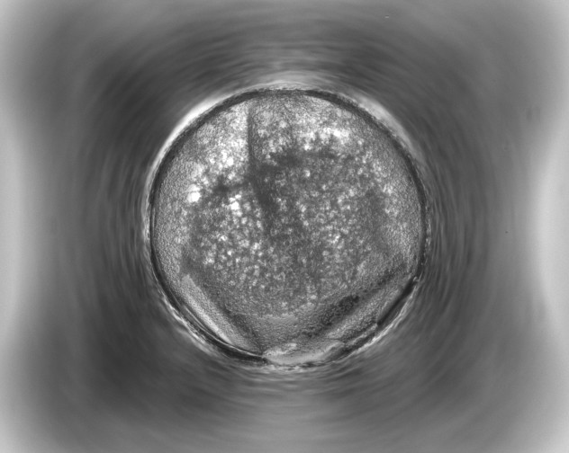 X0000084531232200703161601