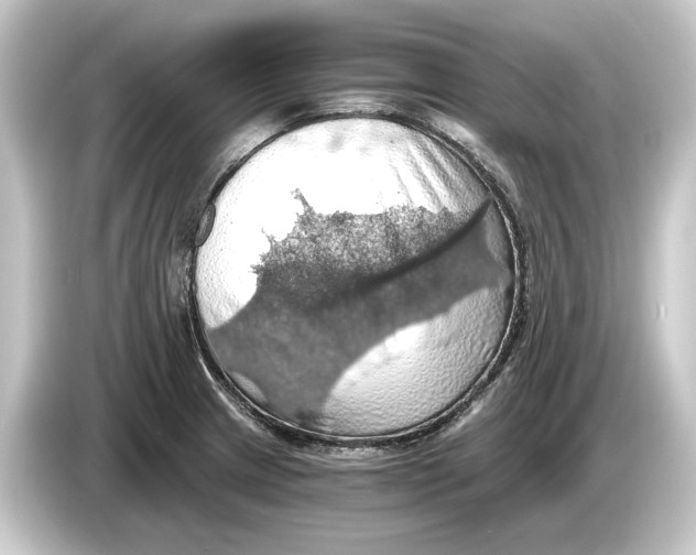 X0000084531233200703161601