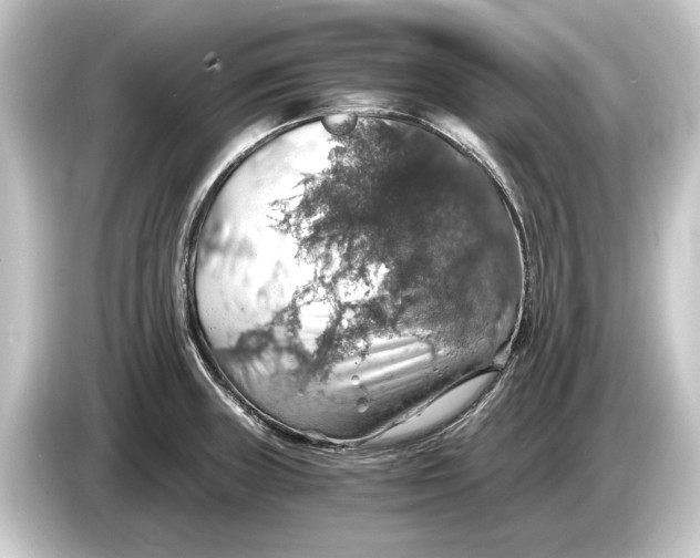 X0000084531235200703161601