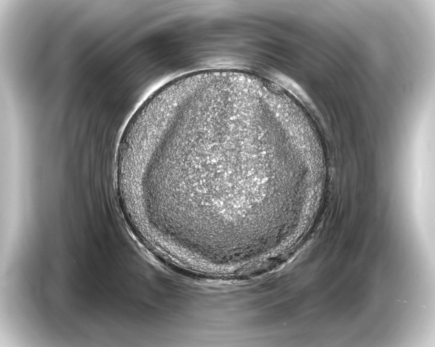 X0000084531236200703161601