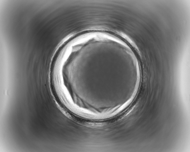 X0000084531237200703161601