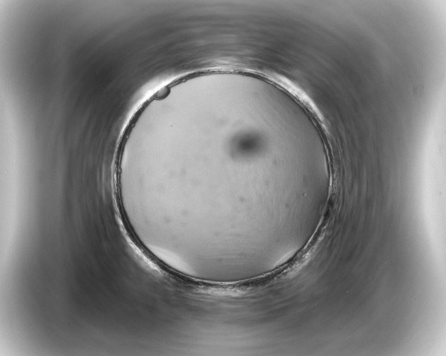 X0000084531239200703161601