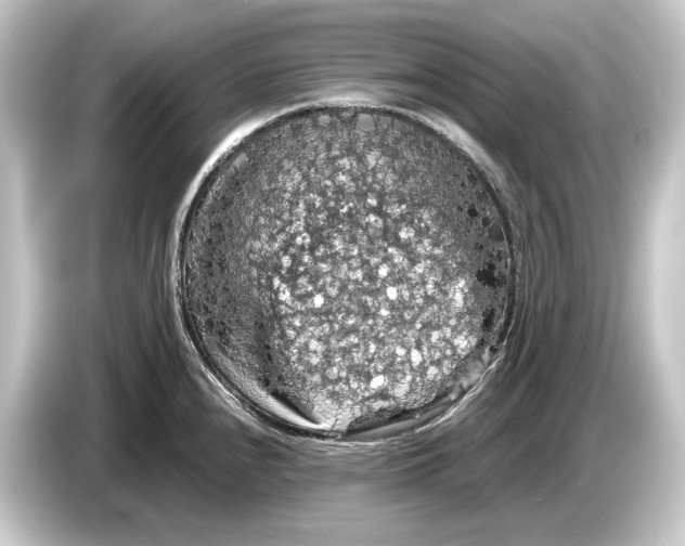 X0000084531240200703161601