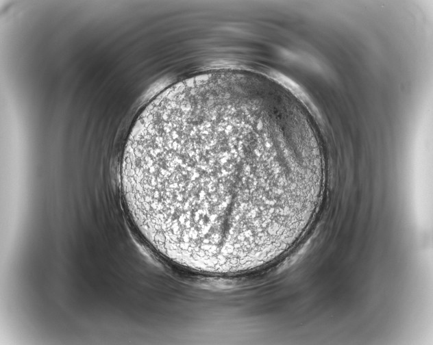 X0000084531241200703161601