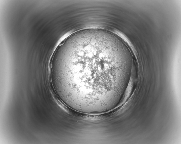 X0000084531242200703161601