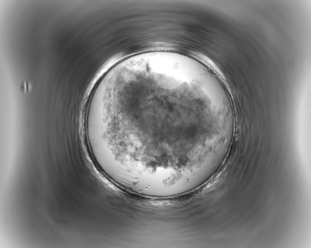 X0000084531243200703161601