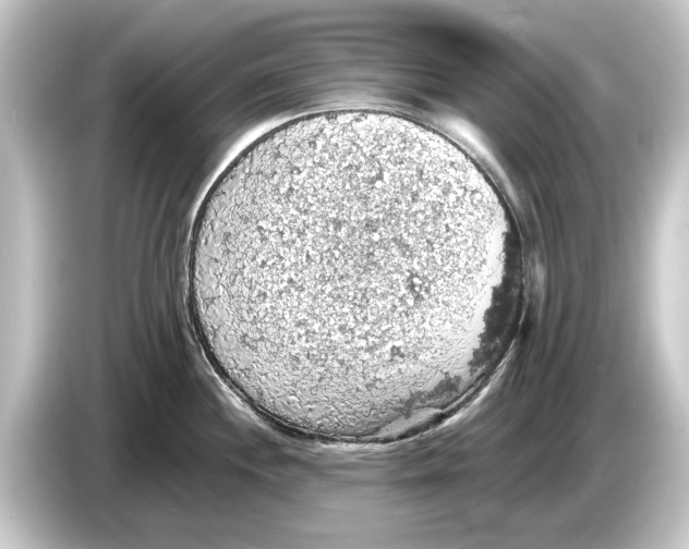 X0000084531244200703161601