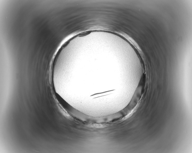 X0000084531246200703161601