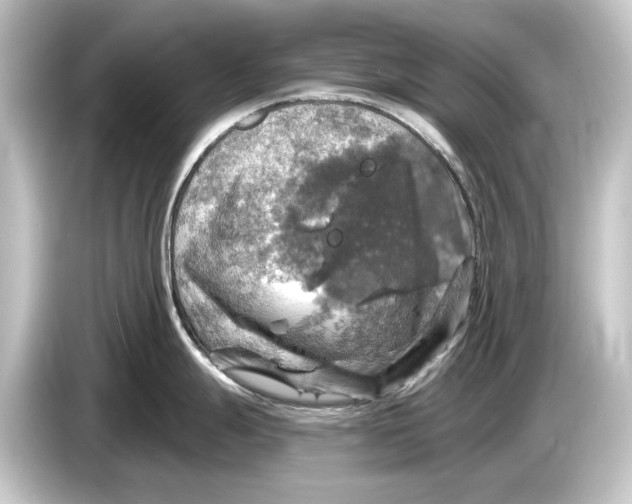 X0000084531247200703161601