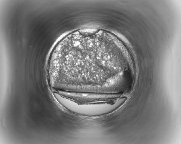 X0000084531248200703161601