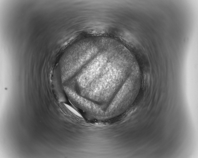 X0000084531250200703161601