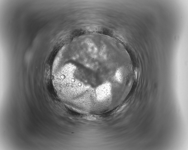 X0000084531251200703161601