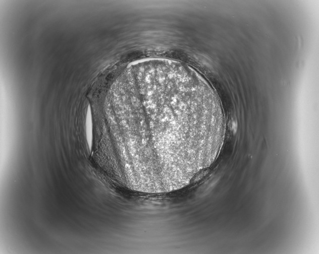 X0000084531252200703161601