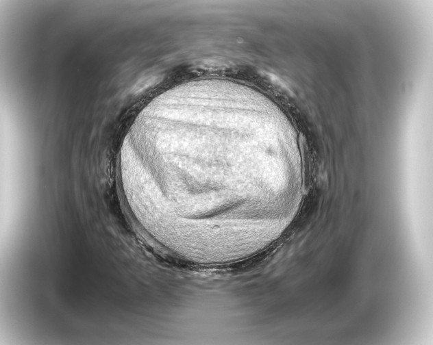 X0000084531253200703161600