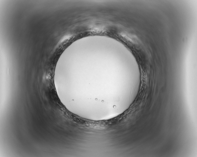 X0000084531254200703161600