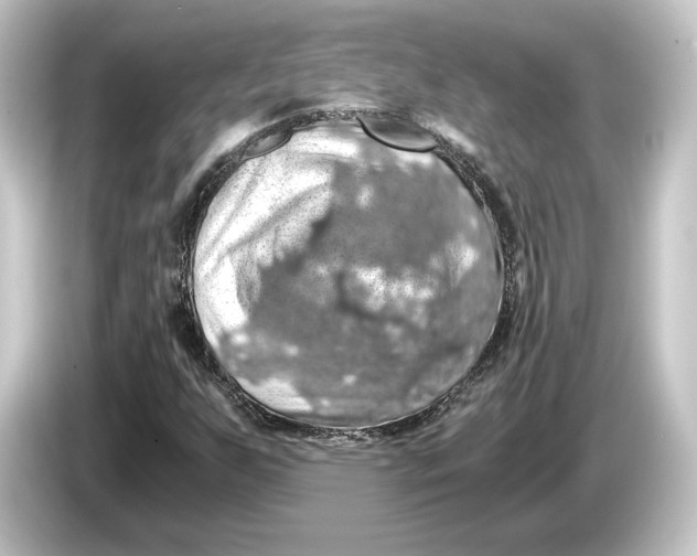 X0000084531255200703161600