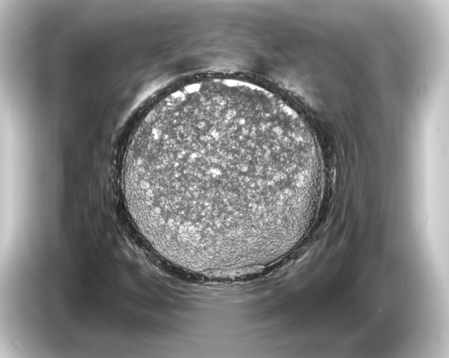 X0000084531256200703161600