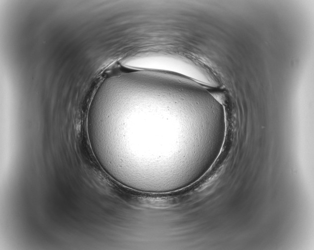 X0000084531257200703161600