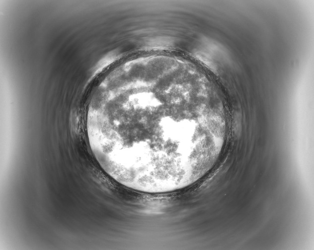 X0000084531258200703161600