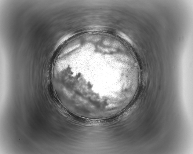 X0000084531259200703161600