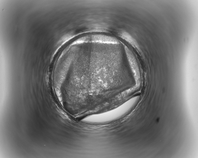 X0000084531260200703161600