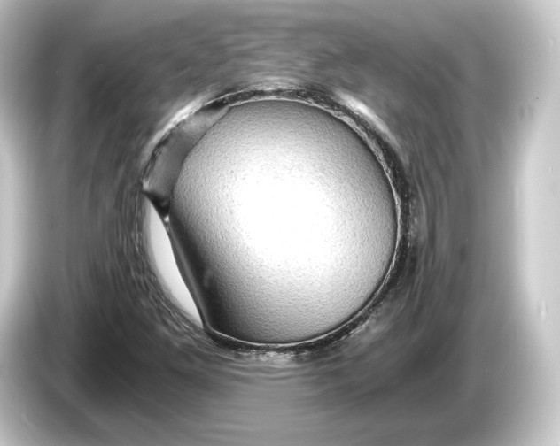 X0000084531261200703161600