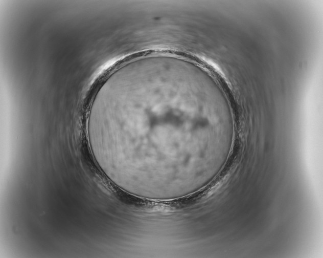 X0000084531263200703161600