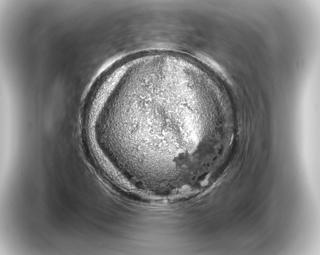 X0000084531264200703161600