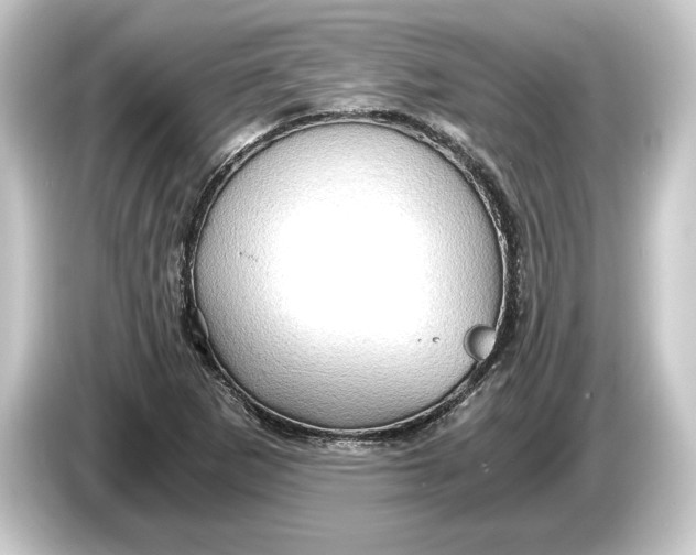 X0000084531265200703161600